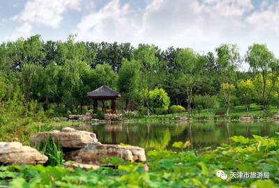 天津森林公园哪个好玩（天津森林餐厅）