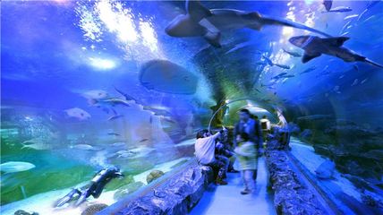 西安市曲江极地海洋公园（西安曲江海洋极地公园门票多少钱）