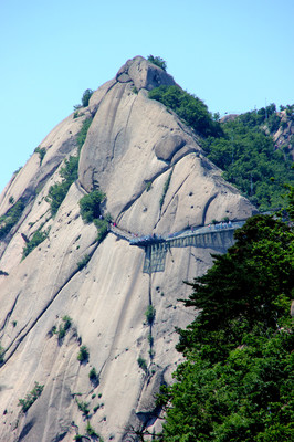 凤城凤凰山门票多少钱（凤城凤凰山高度是多少米）