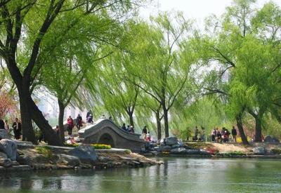 远香饭店（远香舫庭院属于哪个街道）