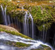 2021年蟒河景区优惠门票（蟒河生态旅游区攻略）