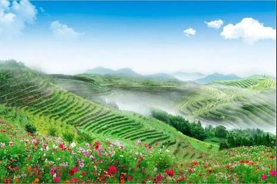 永泰旅游指南（永泰旅游必去十大景点）