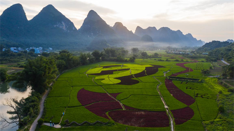 广西省阳朔旅游景点（阳朔景点介绍视频）