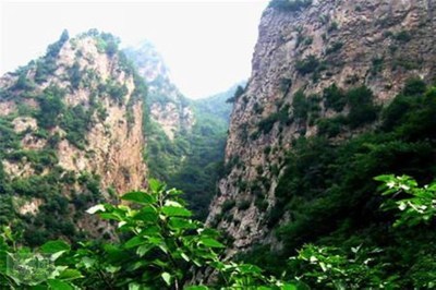 雾灵西峰怎么样（雾灵西峰海拔多少米）