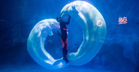 天津海昌极地海洋公园攻略价格（天津海昌极地海洋公园资讯预约）