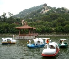 厦门景州乐园发展有限公司（厦门景洲进出口贸易有限公司）