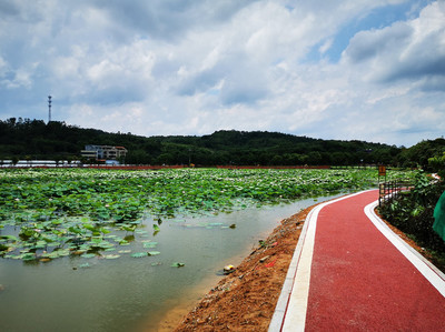 增城游玩攻略（广东增城旅游攻略）