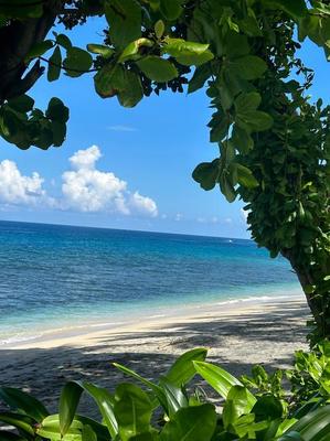 去巴厘岛旅游要多少钱（去巴厘岛旅游的线路）