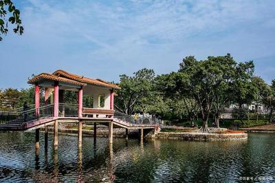 莆田绶溪公园坐几路车（游莆田绶溪公园作文400字）