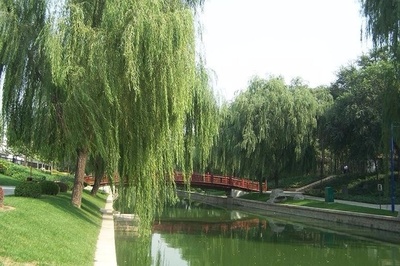 北京马甸公园攻略一日游（马甸公园门票价格）