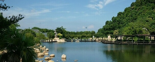 横琴石博园图片（横琴岛石博园）