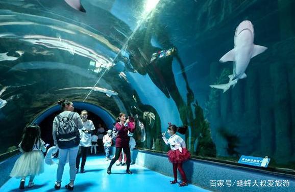 萧山长乔极地海洋公园附近酒店（杭州长乔极地海洋公园怎么样）