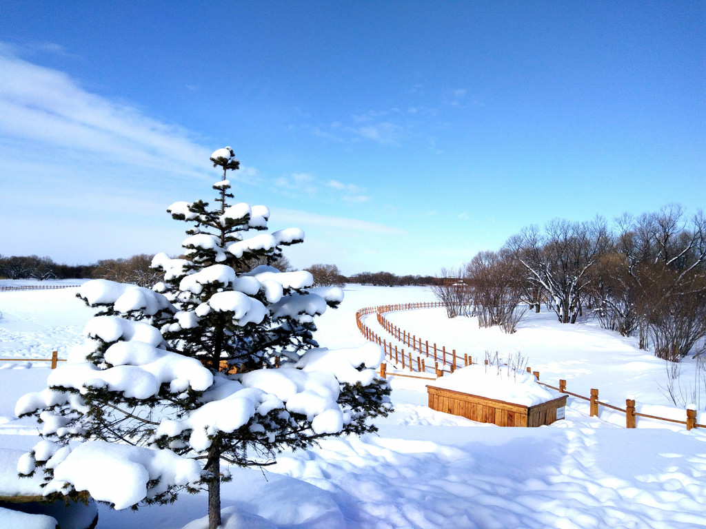 抚远乌苏里江出什么鱼（黑龙江乌苏镇）